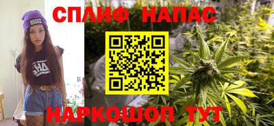хмурый Можга